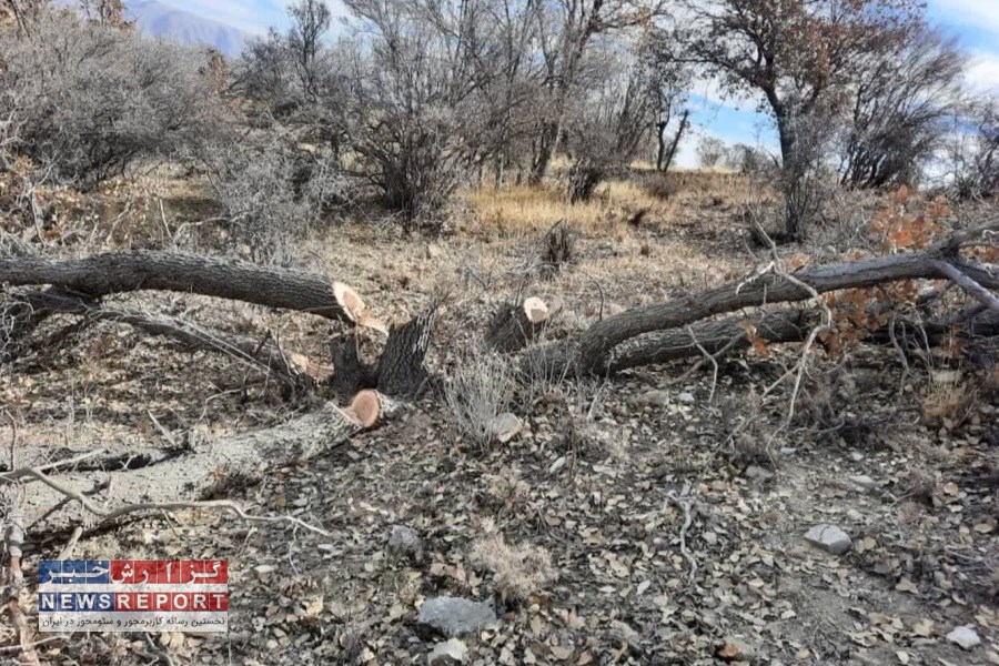 6 قبضه سلاح در منطقه مله گاله شهرستان شیراز کشف و ضبط شد