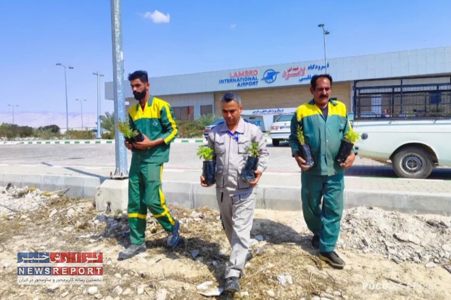 بیش از ۳۰۰ نهال در فرودگاه لامرد کاشته شد