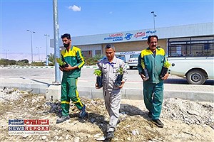 بیش از ۳۰۰ نهال در فرودگاه لامرد کاشته شد