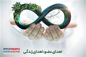 اهدای اعضای بدن بانوی ۳۹ ساله لامردی به بیماران نیازمند پیوند عضو