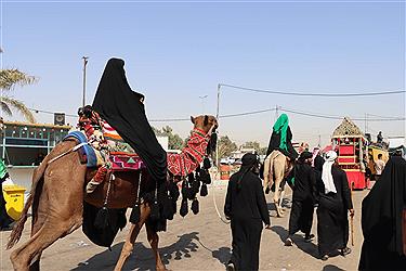 تصویر خدمت رسان موکب آبشار عاطفه‌ها در مسیر اربعین 1404 از پنجره دوربین (17 مردادماه)