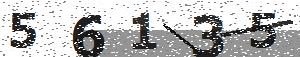 تصویر امنیتی