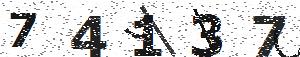 تصویر امنیتی