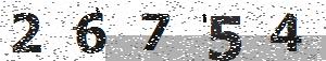 تصویر امنیتی