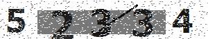 تصویر امنیتی