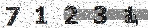 تصویر امنیتی