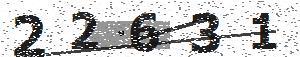 تصویر امنیتی