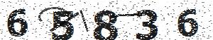تصویر امنیتی