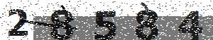 تصویر امنیتی
